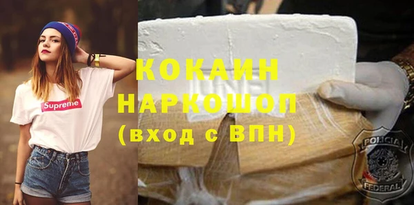 индика Карпинск
