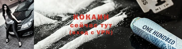 индика Карпинск