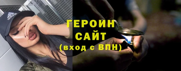 индика Карпинск