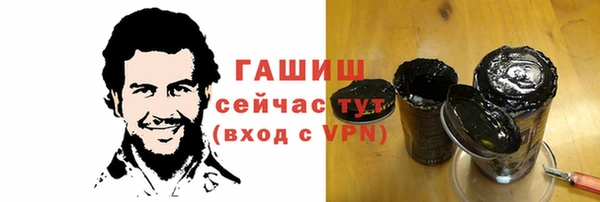 индика Карпинск