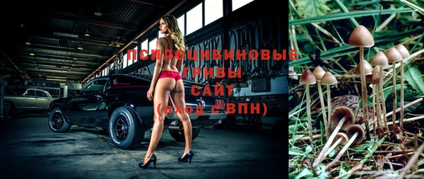 индика Карпинск