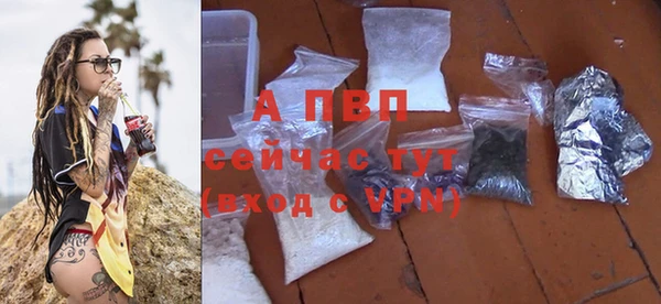 индика Карпинск