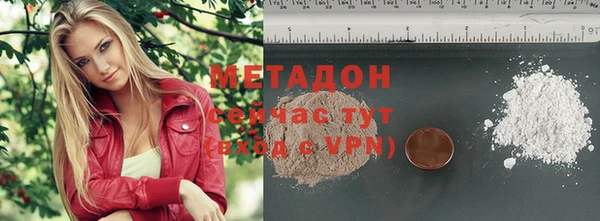индика Карпинск