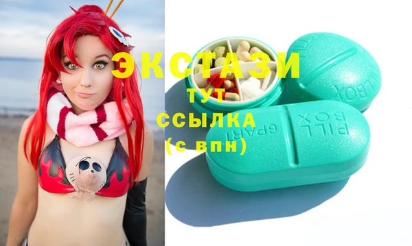 индика Карпинск